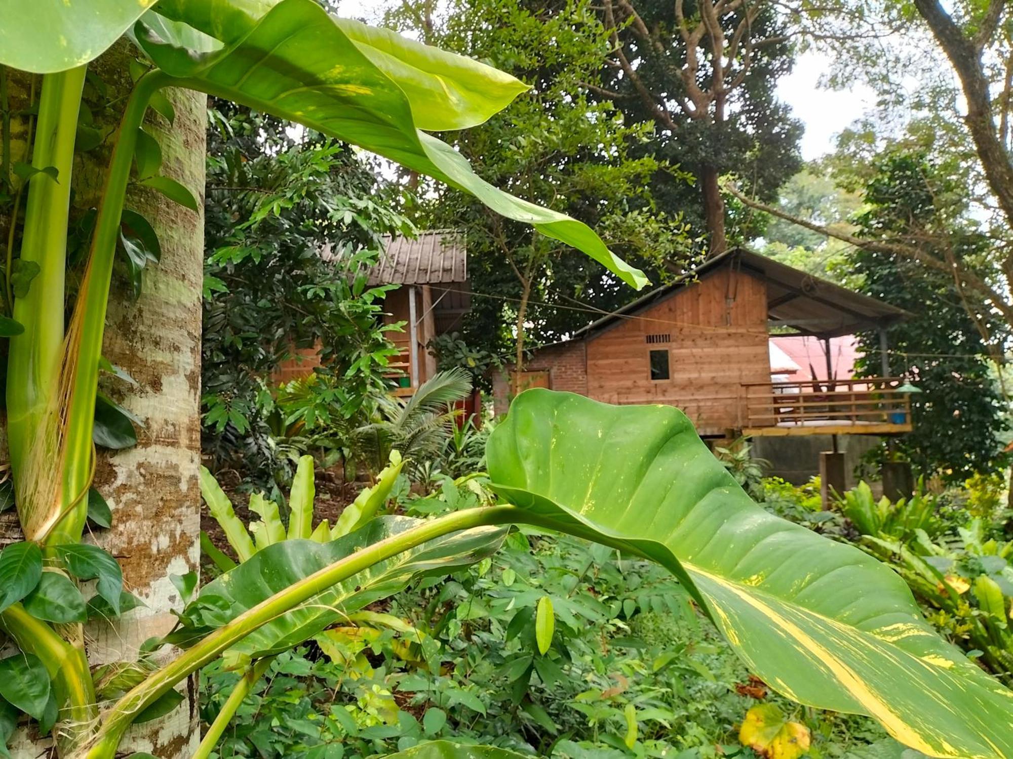 Santi Garden Bungalows Iboih Exterior foto